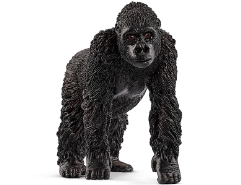 Gorilla Weibchen