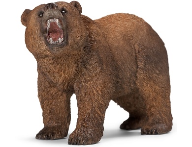 Grizzlybär