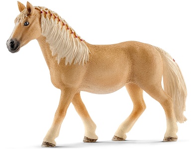Haflinger Stute