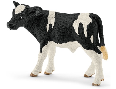Holstein-Kalb
