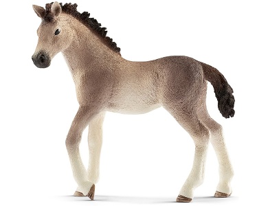 Andalusier Fohlen