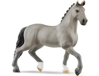 Cheval de Selle Francais Hengst