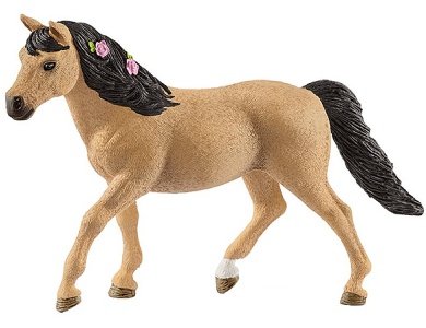 Connemara Pony Stute