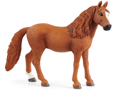Deutsches Reitpony Stute