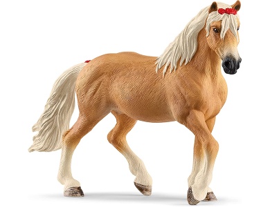 Haflinger Stute