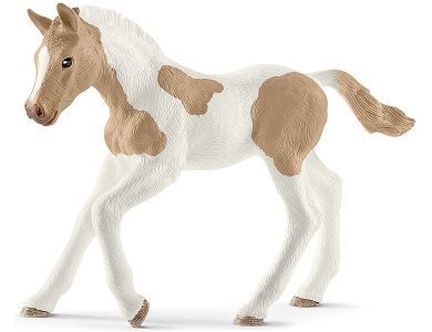 Paint Horse Fohlen