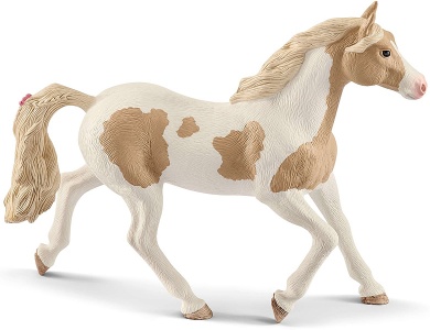 Paint Horse Stute