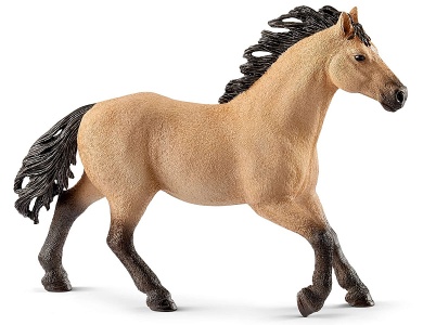 Quarter Horse Hengst