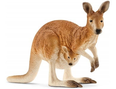 Känguru