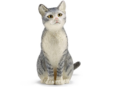 Katze sitzend