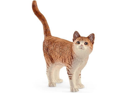 Katze stehend