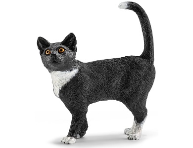Katze stehend