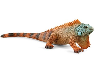 Leguan