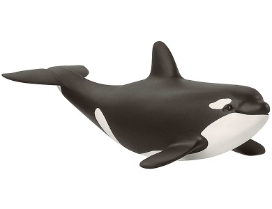 Orka Junges