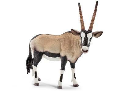 Oryxantilope