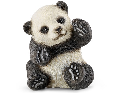 Panda Junges, spielend