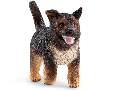 Schäferhund Welpe