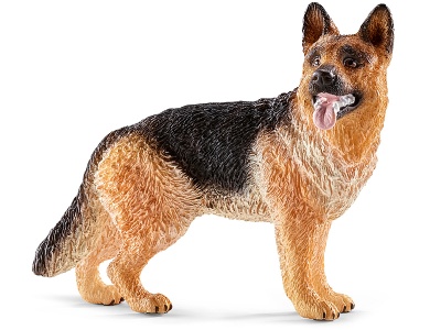 Schäferhund