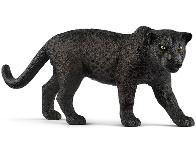Schwarzer Panther