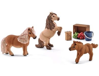 Mini Shetty Familie