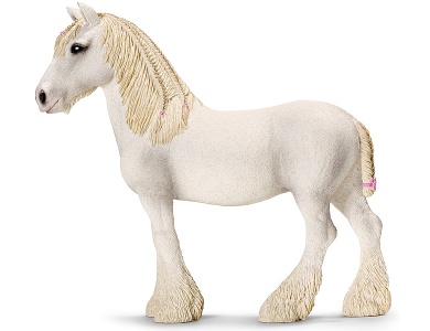 Shire Stute