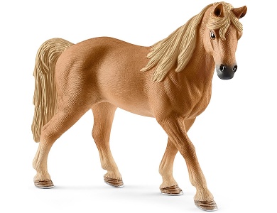 Tennessee Walker Stute