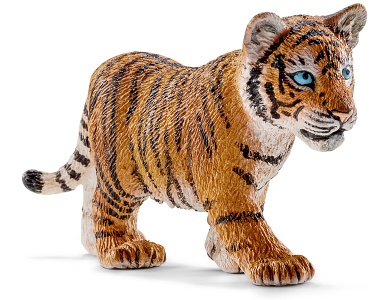 Tigerjunges