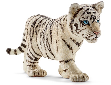 Weisser Tigerjunges