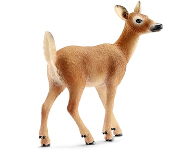 Weisswedelkuh