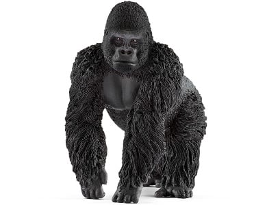 Gorilla Männchen