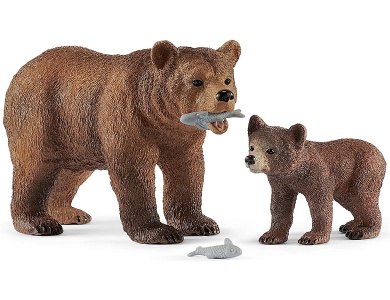 Grizzlybär Mutter mit Jungem