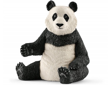 Grosse Pandabärin