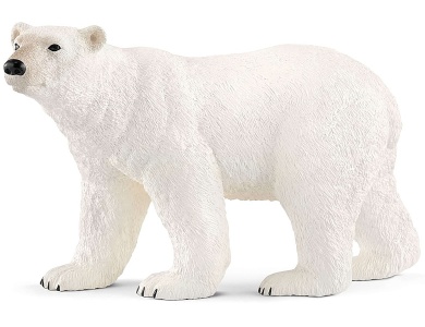 Eisbär