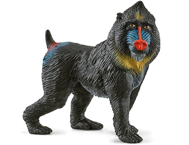 Mandrill Affe