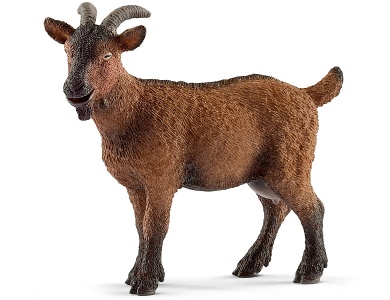 Ziege