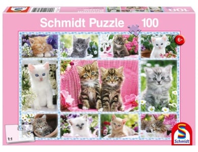 Katzenbabies 100Teile