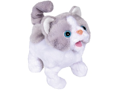 Simba Little Cat