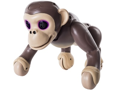 Chimp