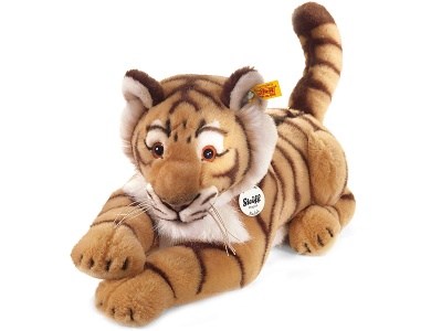 Radjah Tiger 45cm