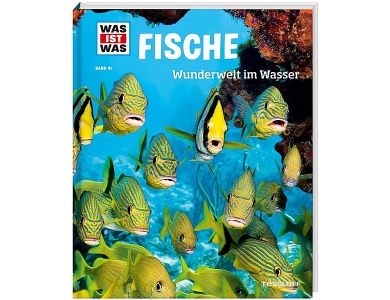 Fische Nr.41
