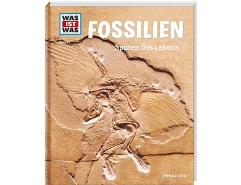 Fossilien Nr.69