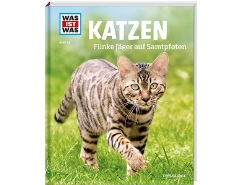Katzen Nr.59