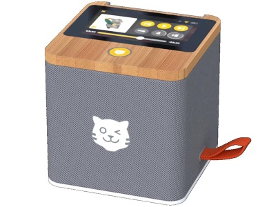 Tigermedia Tigerbox Touch Swiss Edition inkl. Swiss Card Grau