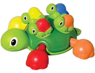 Schildkrötenfamilie