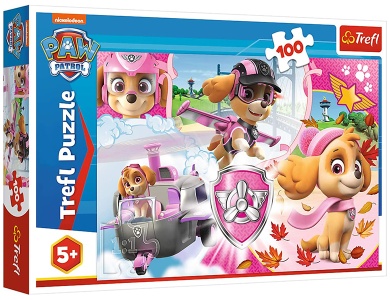 Skye in Aktion 100Teile