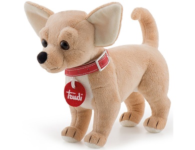 Chihuahua 21cm