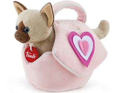 Katze in Tasche mit Herz