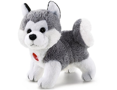 Husky 10cm