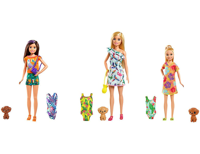 Barbie Familie & Freunde Der verrückte Geburtstag Puppe und Zubehör - Modepuppen