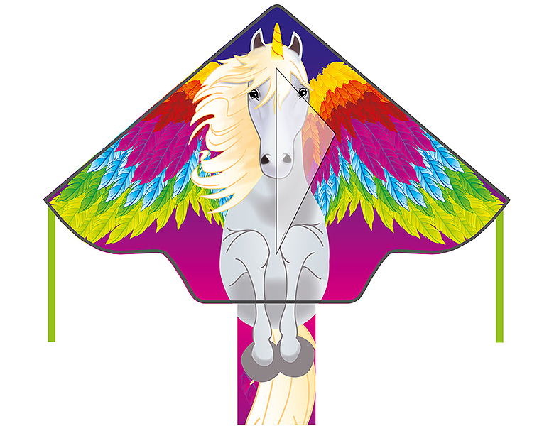 HQ Invento Eco Line Drachen Simple Flyer Pegasus